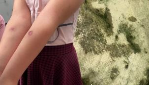 Sivrisinek kabusu! Belediye SMS ile uyarrdı