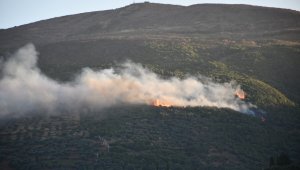 Söke'de orman yangını