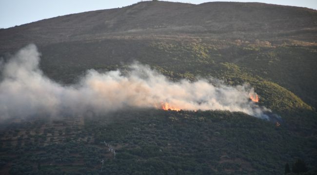 Söke'de orman yangını