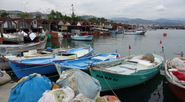 Mezgit, tarihinin en yüksek fiyatını gördü