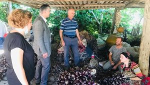 Tarım İl Müdürü Alkan, Erdek'te üreticilerle fikir alışverişinde bulundu