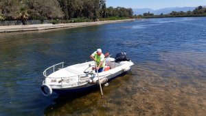 Titreyengöl atık ve yosunlardan temizlendi