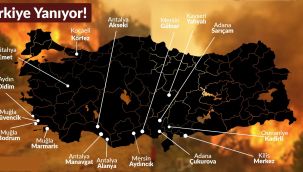 Türkiye'nin her yeri sanki aynı anda ateşe verildi