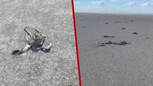 Tuz Gölü kurudu, yüzlerce flamingo öldü