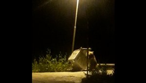 Uludağ'da ayı ailesinin renkli görüntüleri..