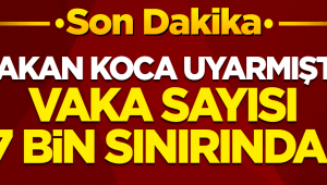 Vaka sayısında artış hızı düşmedi