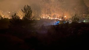 'Yalan terörü' sosyal medyada