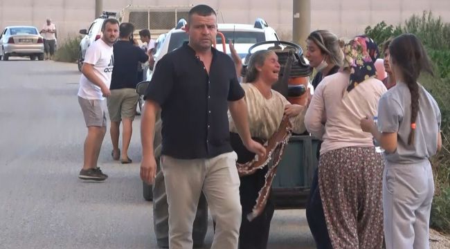 Yanan ağaçları ve seraları için gözyaşı döktü