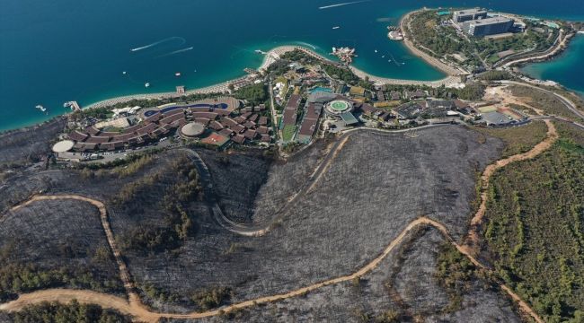 Yangında 80 hektar orman kül oldu