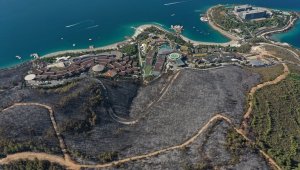 Yangında 80 hektar orman kül oldu