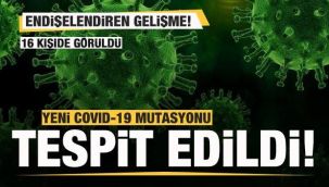 Yeni bir Covid-19 mutasyonu tespit edildi