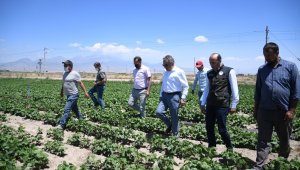 Yerli fasulye tohumu yüzleri güldürdü