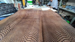 Yılan derisi ayakkabılar 4 bin liraya alıcı buluyor