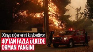40'tan fazla ülkede ormanlar alev alev