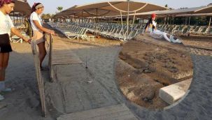 60 yavru deniz kaplumbağası sıkışarak öldü