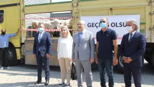 Afetzedelere İzmir'den hayvan ve yem bağışı