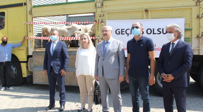 Afetzedelere İzmir'den hayvan ve yem bağışı