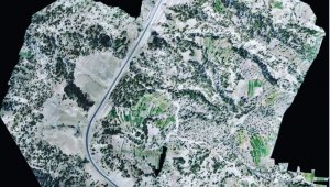 Ağaçlandırma projesi başladı