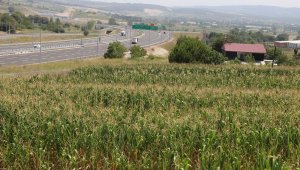 Arapların gözdesi, arsa fiyatları 500 bin liraya ulaştı