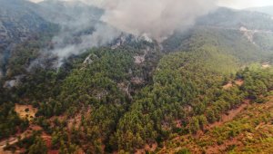 Arıcıların feryat etti; desteğe ihtiyacımız var