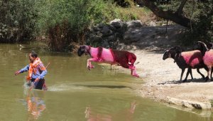 Asırlık yarış ödülle sona erdi