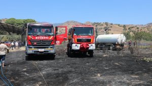 Aydın'da itfaiye ekipleri yangını kısa sürede kontrol altına aldı
