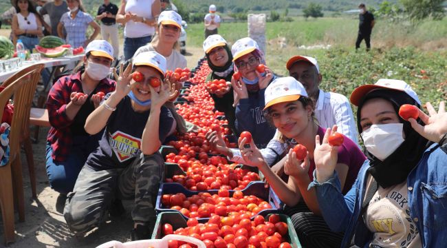 Başkan Doğruer, gönüllü hasat etkinliğinde