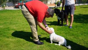 Çeşme'de köpeklere özel 'Pati Park'