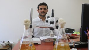 Çimentosuz betonlar bakteri yoluyla kendini onaracak