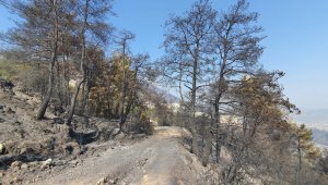 Çine de, yangınla siyaha büründü