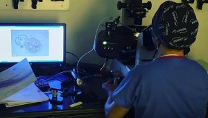 Covid-19 mikrobu, erkeklere düşmanmış