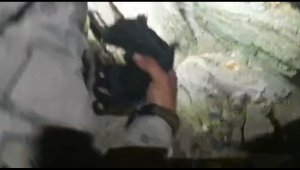 Günlerdir aç olan anne köpek ve yavrularını asker kurtardı