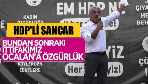 HDP'den terörist başı Öcalan için özgürlük talebi