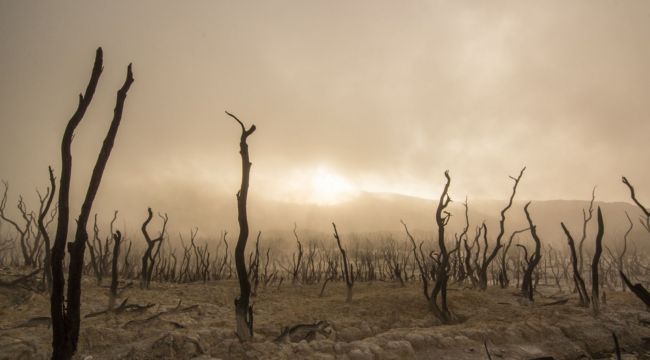 İklim Değişikliği İnsanlık İçin Kırmızı Alarm