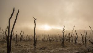 İklim Değişikliği İnsanlık İçin Kırmızı Alarm