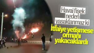 İzmir'de düğünde ormana doğru havai fişek atıldı