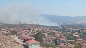 İzmir'de makilik alanda yangın