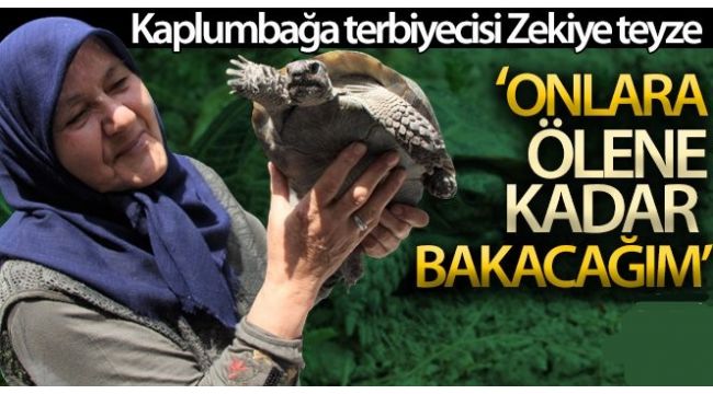 Kaplumbağa terbiyecisi Zekiye teyze