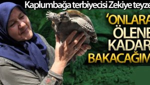Kaplumbağa terbiyecisi Zekiye teyze