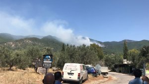 Kazdağları'na 7 helikopter bir uçakla müdahale