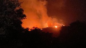 Kıyıkışlacık bölgesindeki yangın Kazıklı'ya doğru ilerliyor