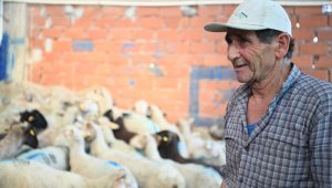 Koyunları yanan çiftçiye destek