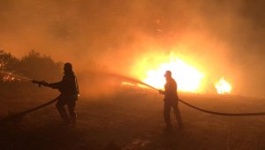 Kula'da orman yangınında 5 hektar alan zarar gördü