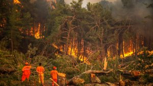 Manavgat yangını şüphelisi hastanede öldü