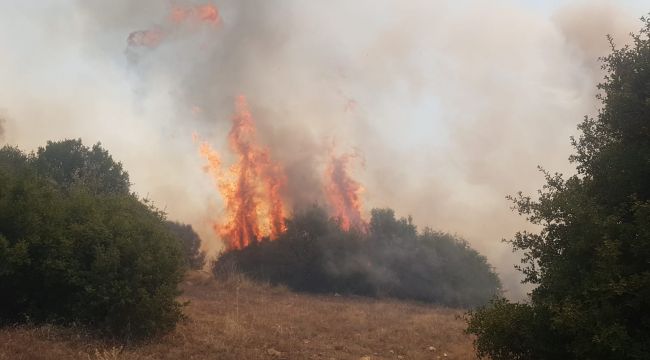 Manisa'da orman yangını başladı