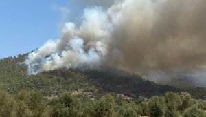 Marmaris yangını tekrar parladı