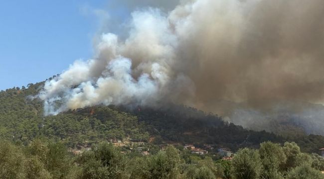 Marmaris yangını tekrar parladı