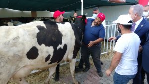 MHP'den yangın bölgesine küçük ve büyükbaş hayvan desteği