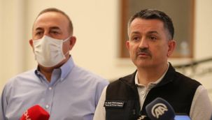 Milas ve Köyceğiz dışındaki tüm yangınlar kontrol altında