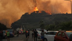 Milas'ta alevler termik santrale ilerliyor